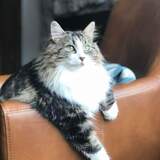 Entry image for Caroline