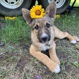 Entry image for Juneau