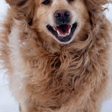 Entry image for Ruby Rose