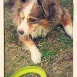 Entry image for Cooper