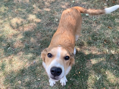 Entry image for Havana. Clicking this image will show a larger photo