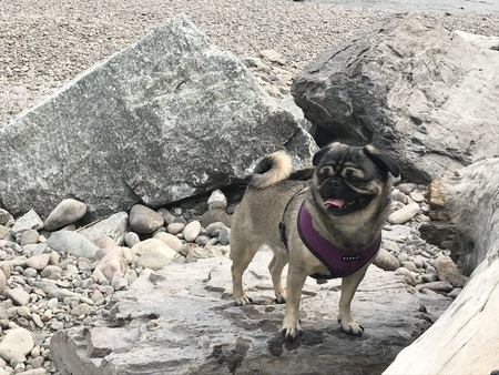 Entry image for Lana. Clicking this image will show a larger photo