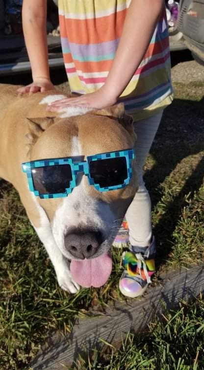 Entry image for Sawyer. Clicking this image will show a larger photo