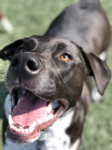 Entry image for Luneth. Clicking this image will show a larger photo