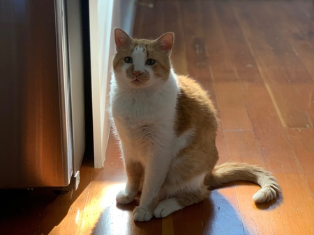 Entry image for Julian. Clicking this image will show a larger photo