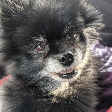 Entry image for Vladimir. Clicking this image will show a larger photo