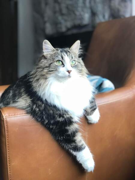 Entry image for Caroline. Clicking this image will show a larger photo