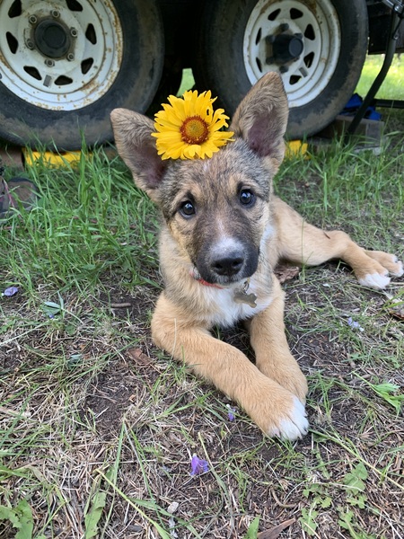 Entry image for Juneau. Clicking this image will show a larger photo