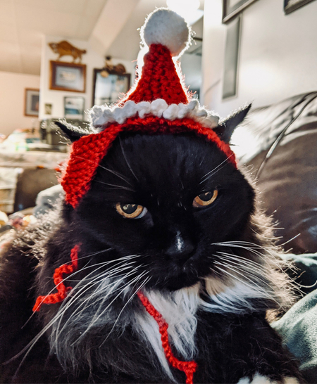 Entry image for Daffodil Cheesecake. Clicking this image will show a larger photo