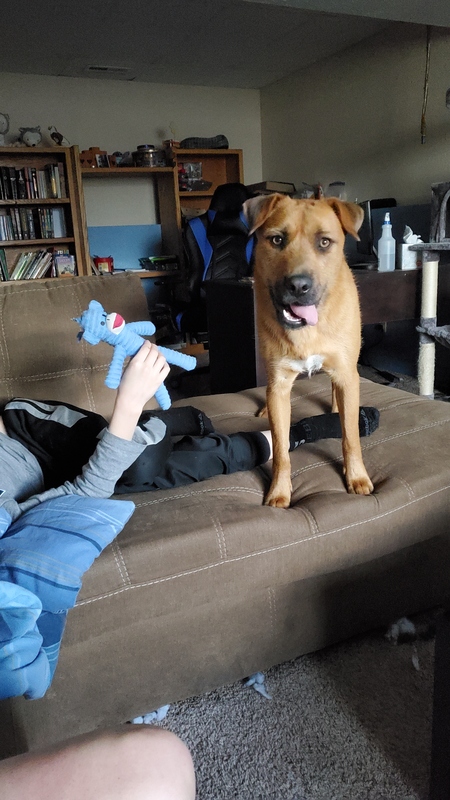 Entry image for Phoenix. Clicking this image will show a larger photo