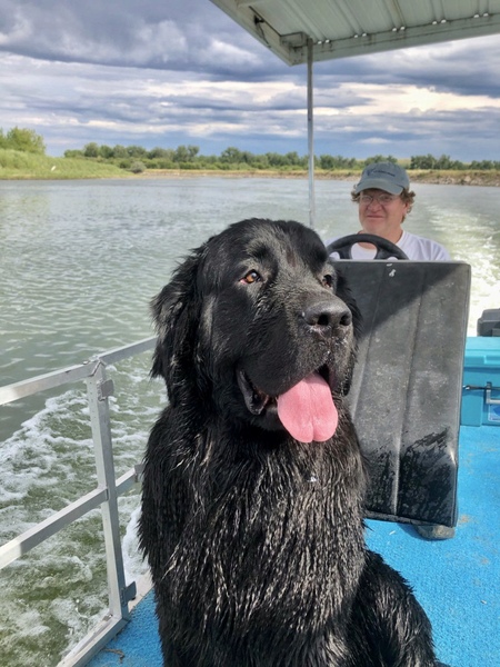 Entry image for Nala . Clicking this image will show a larger photo