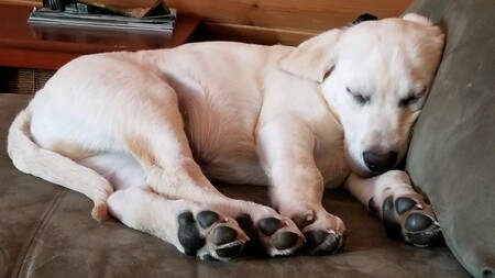 Entry image for Grayson. Clicking this image will show a larger photo