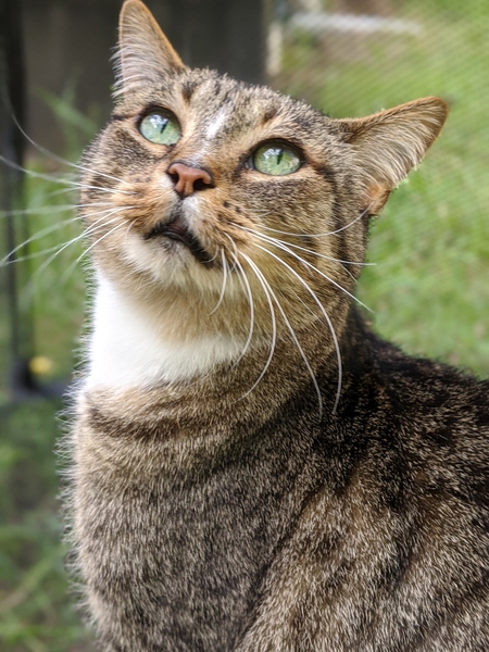 Entry image for Hobo Harry. Clicking this image will show a larger photo