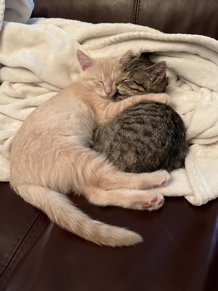 Sully and Eli