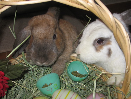 Peter and Paul
