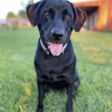 Entry image for Reece