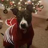 Entry image for Delilah Rose 