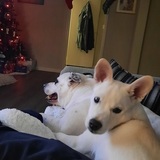 Entry image for Grace and Arises  Wilson