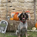 Entry image for Sherman