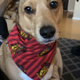 Entry image for Tucker