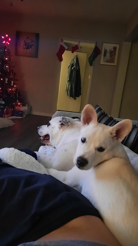 Entry image for Grace and Arises  Wilson. Clicking this image will show a larger photo