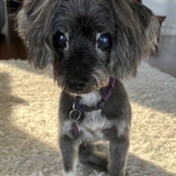 Entry image for Bayge