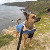 Entry image for Harry 