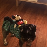 Entry image for Pickles