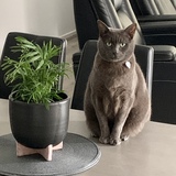 Entry image for Cloud