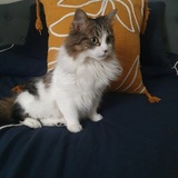 Entry image for Winnie