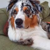 Entry image for Athos