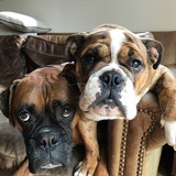 Entry image for Leon and winston