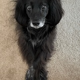 Entry image for Lucky 