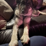 Entry image for Winki