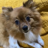 Entry image for Cece