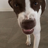 Entry image for Mona 