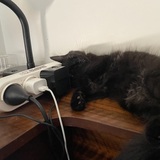 Entry image for Wesley