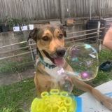 Entry image for Paris 