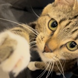 Entry image for Betty Maree