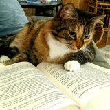 Entry image for Molly