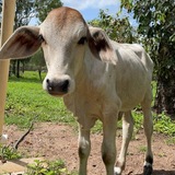 Entry image for Bella 