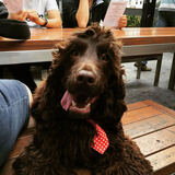 Entry image for Spence