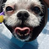 Entry image for Bella