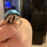 Entry image for Teriyaki