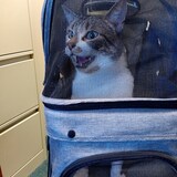 Entry image for Winston