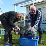 Entry image for Dusty