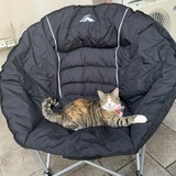 Entry image for Roisin