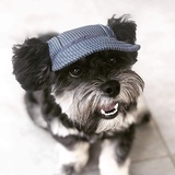 Entry image for Toby