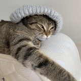 Entry image for Lola