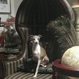 Entry image for Tuppence